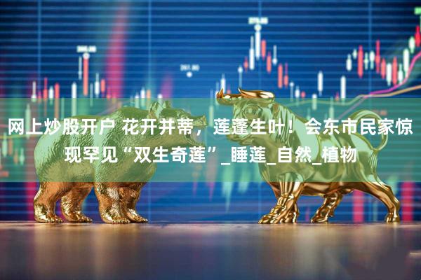 网上炒股开户 花开并蒂，莲蓬生叶！会东市民家惊现罕见“双生奇莲”_睡莲_自然_植物